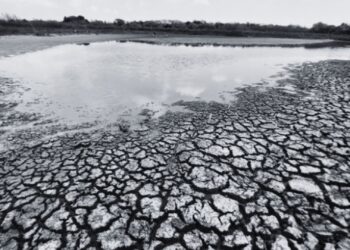 Por crisis de agua en Tamaulipas solicitan declarar emergencia en el sur del estado