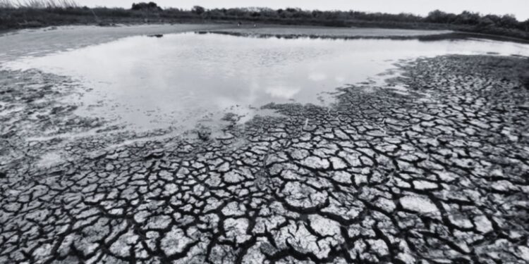 Por crisis de agua en Tamaulipas solicitan declarar emergencia en el sur del estado