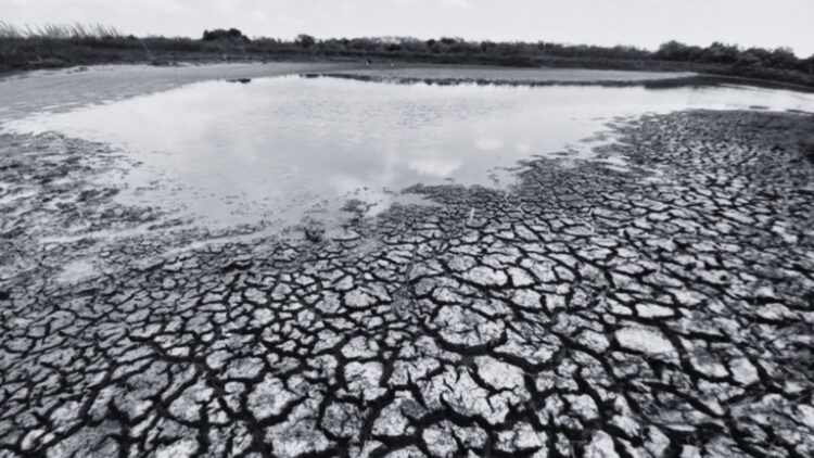 Por crisis de agua en Tamaulipas solicitan declarar emergencia en el sur del estado