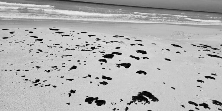 Petróleo llega a playas de Tamaulipas; mata a peces, camarones y almejas