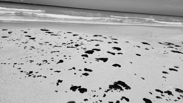 Petróleo llega a playas de Tamaulipas; mata a peces, camarones y almejas
