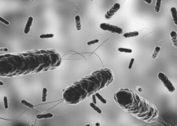 Bacteria carnívora que mata en 2 días alerta por aumento de casos