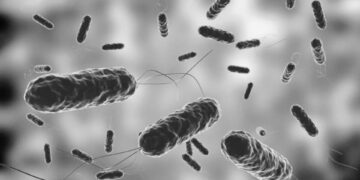 Bacteria carnívora que mata en 2 días alerta por aumento de casos