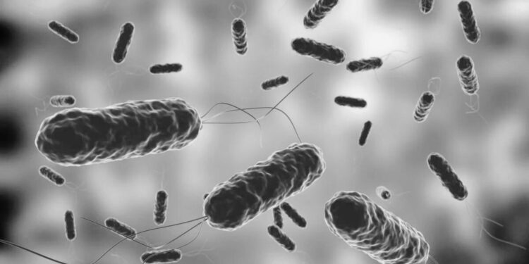 Bacteria carnívora que mata en 2 días alerta por aumento de casos