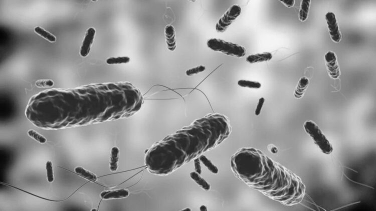Bacteria carnívora que mata en 2 días alerta por aumento de casos