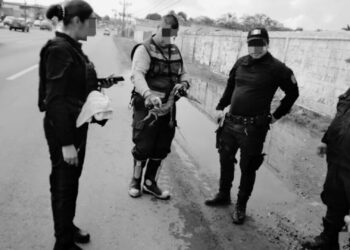 Tras lluvias cocodrilos transitan en calles Madero