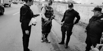 Tras lluvias cocodrilos transitan en calles Madero