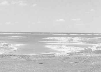 Siguen en semáforo rojo 10 municipios de Tamaulipas a pesar de lluvias