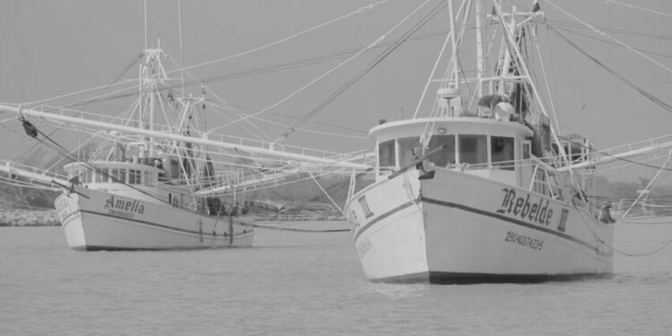 Es flota camaronera tamaulipeca, la más grande del Golfo de México