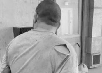 Un hombre es acusado de masacrar 81 mascotas a tiros