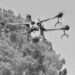 Confirma Seguridad Pública Tamaulipas uso de drones y artefactos explosivos por parte de grupos criminales