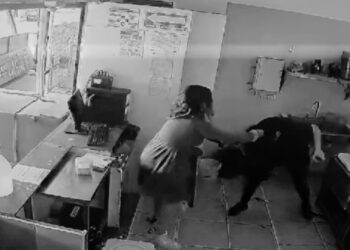 Clienta da golpiza a empleada de taquería en Tampico