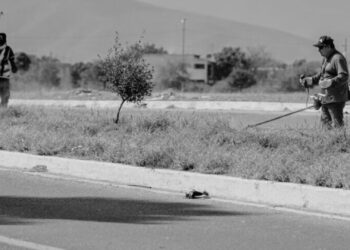 Municipio limpia y conserva 35 mil metros lineales de avenidas y jardines