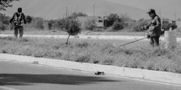 Municipio limpia y conserva 35 mil metros lineales de avenidas y jardines