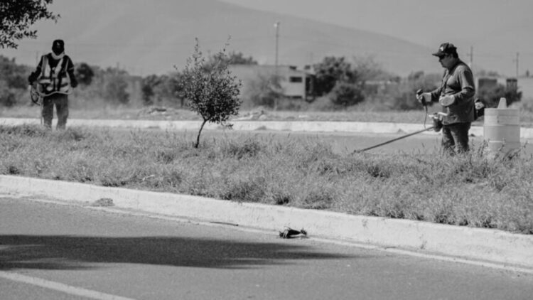 Municipio limpia y conserva 35 mil metros lineales de avenidas y jardines