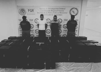 Cae cargamento de metanfetamina oculto en tostadas en Tamaulipas