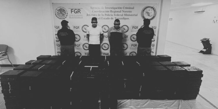 Cae cargamento de metanfetamina oculto en tostadas en Tamaulipas