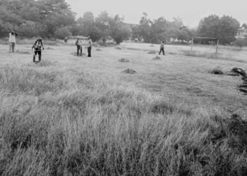 Gobierno de Victoria atiende reporte ciudadano y rehabilita área verde en la colonia Cuauhtémoc