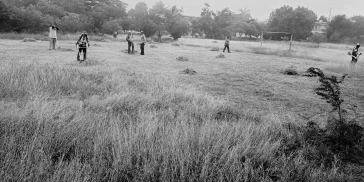 Gobierno de Victoria atiende reporte ciudadano y rehabilita área verde en la colonia Cuauhtémoc